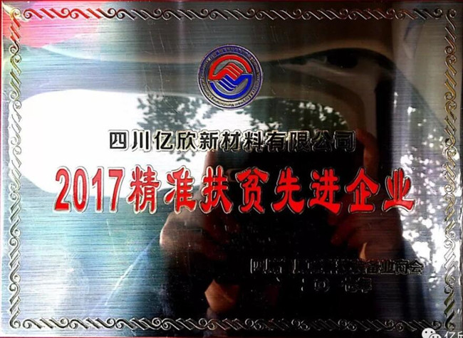 亿欣2_副本