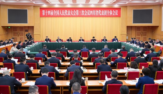 四川代表团举行全体会议 讨论通过代表团全团建议 王晓晖主持 施小琳出席