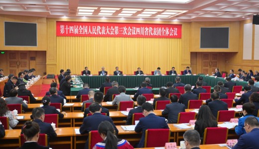 四川代表团举行全体会议 审议大会有关决议草案 王晓晖主持并讲话 施小琳参加