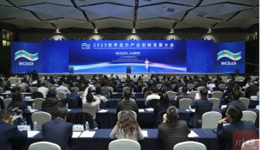 2025世界显示产业创新发展大会在成都开幕