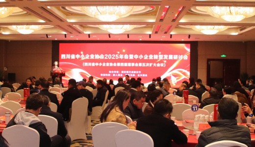 四川省中小企业协会2025年会暨中小企业转型发展研讨会圆满召开
