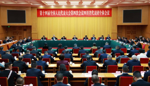 四川代表团举行全体会议  推选王晓晖为团长 施小琳等为副团长