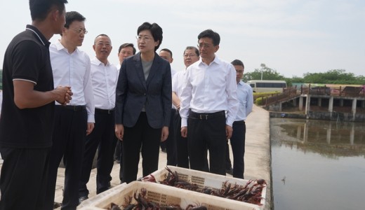 施小琳在内江市、资阳市调研时强调 突出高质量发展目标导向 加快做大做强特色产业培育壮大新动能