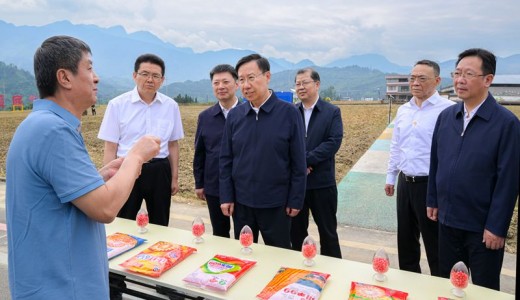 王晓晖在雅安市调研时强调 因地制宜发展农业新质生产力 不断夯实现代化建设“三农”底座