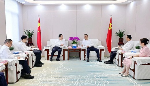 经济和信息化厅党组书记、厅长严卫东会见眉山市委书记张道平, 市委副书记、市长王斌达一行